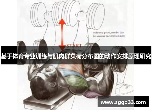 基于体育专业训练与肌肉群负荷分布图的动作安排原理研究