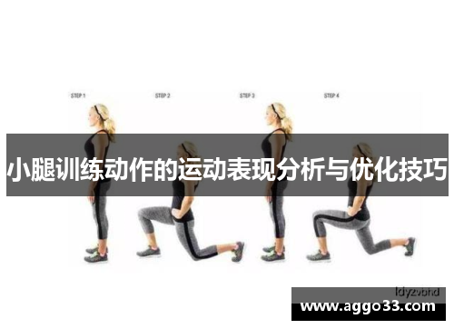 小腿训练动作的运动表现分析与优化技巧